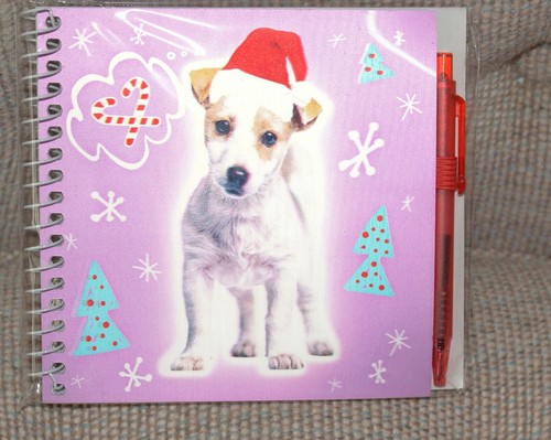 Jack russell puppy dog pet - dog,