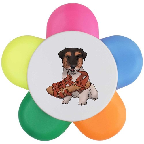 Jack russell chewing shoe - russell, shoe'